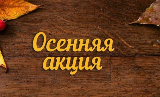 Осенние скидки на кресла Everprof до 20% — Компания МКОфис
