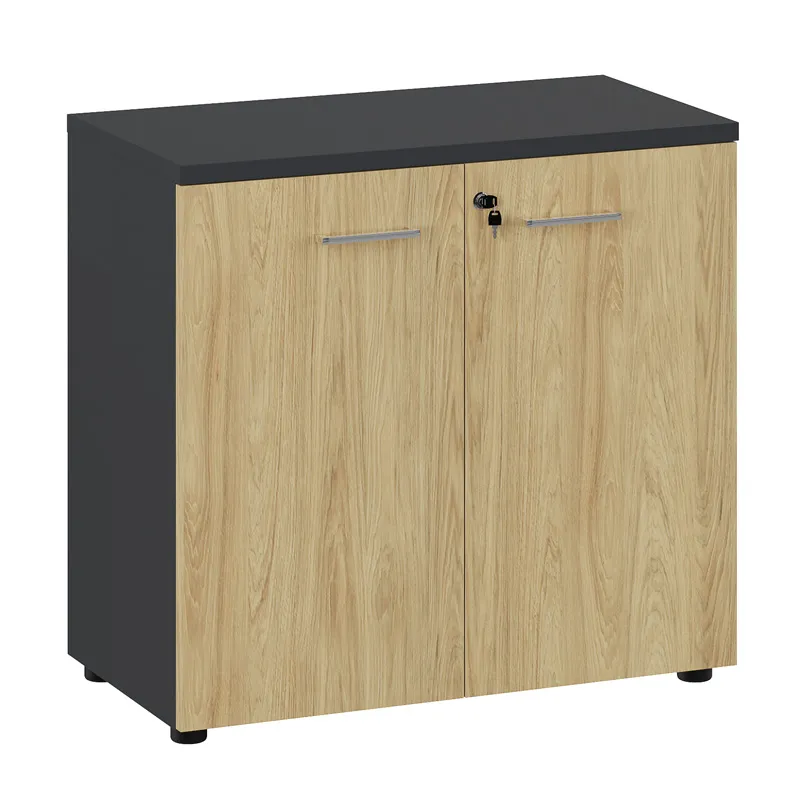 Шкаф низкий 135H001 800x420x760 Шкаф низкий 135H001 800x420x760